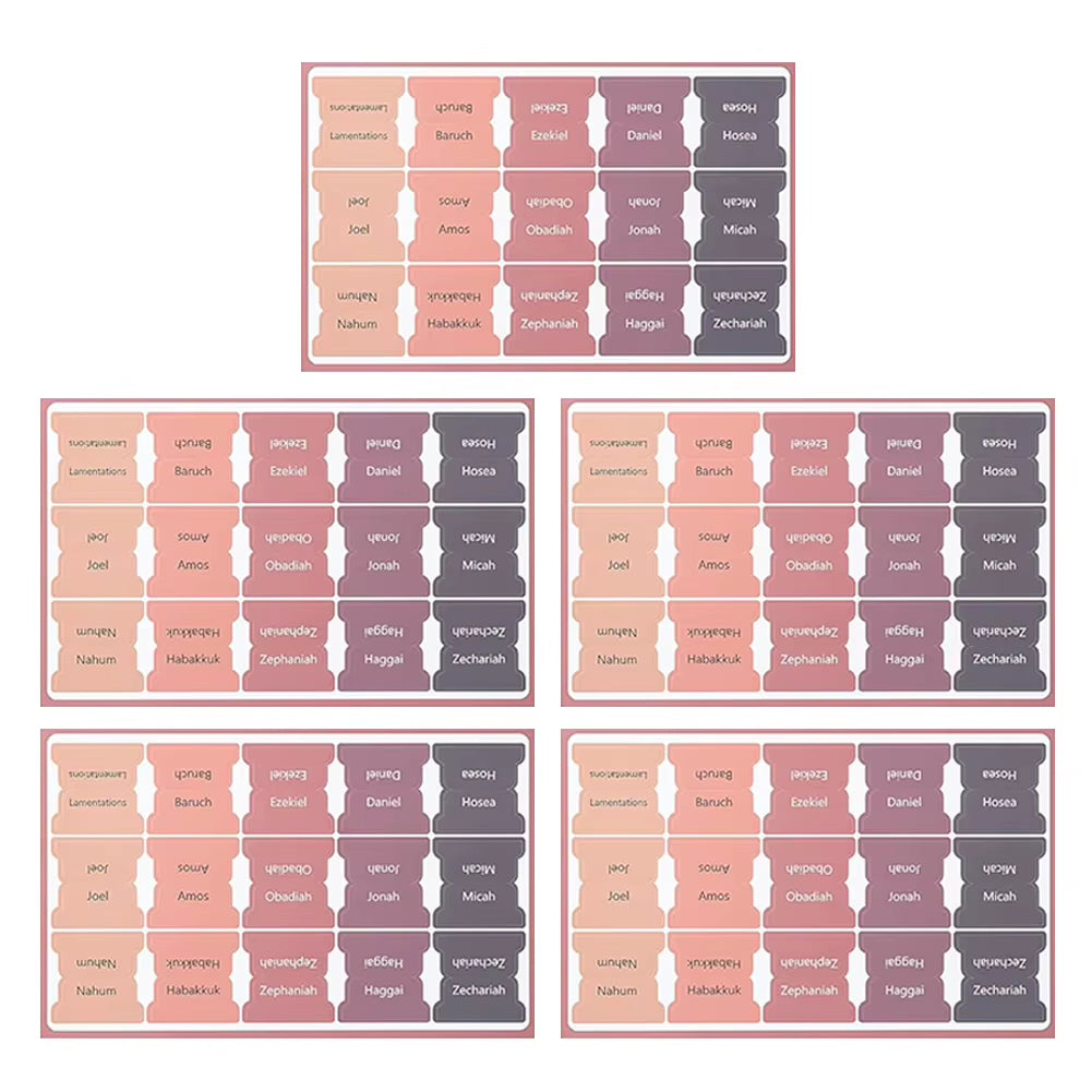 5 Sheet Bible Index Label Sticker Bookmark Stickers Easy Read Bible Book Tabs Large Print Laminated Bible Tabs for Study Reading